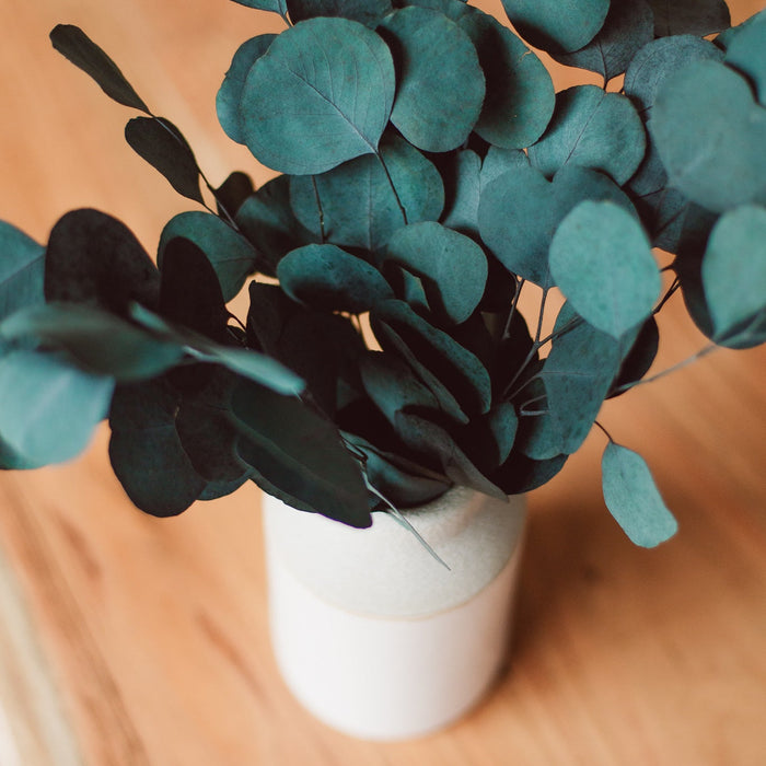 BOUQUET D'EUCALYPTUS