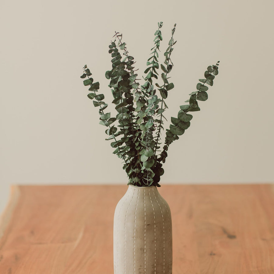 EUCALYPTUS STEMS