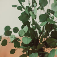 BOUQUET D'EUCALYPTUS