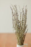 BOUQUET DE LAVANDE PRÉSERVÉE