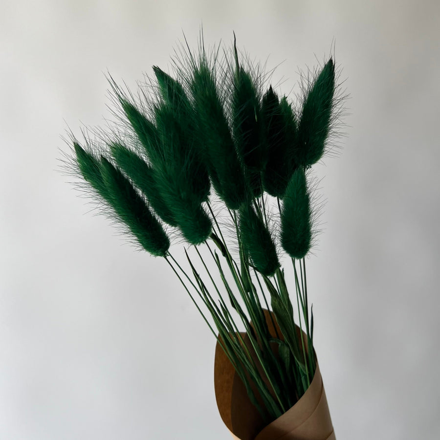 LAGURUS FOREST GREEN