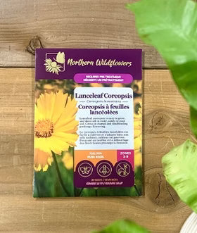 FLOWER SEEDS: LANCE-LEAVED COREOPSIS