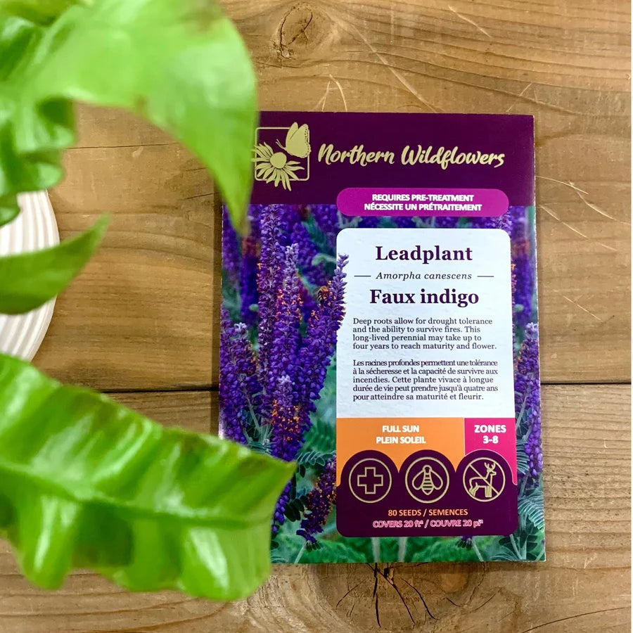 FLOWER SEEDS: FALSE INDIGO