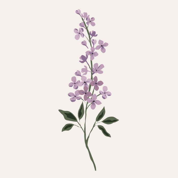 IMPRESSION D'ART FLORALE - LILAS