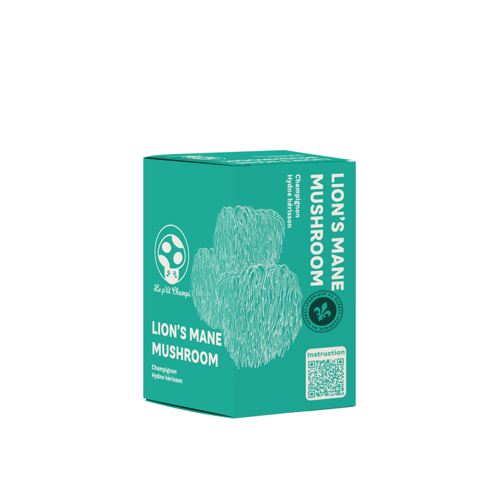 KIT DE CULTURE DE CHAMPIGNONS À CRINIÈRE DE LION