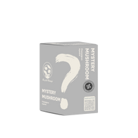 KIT DE CHAMPIGNONS MYSTÈRES