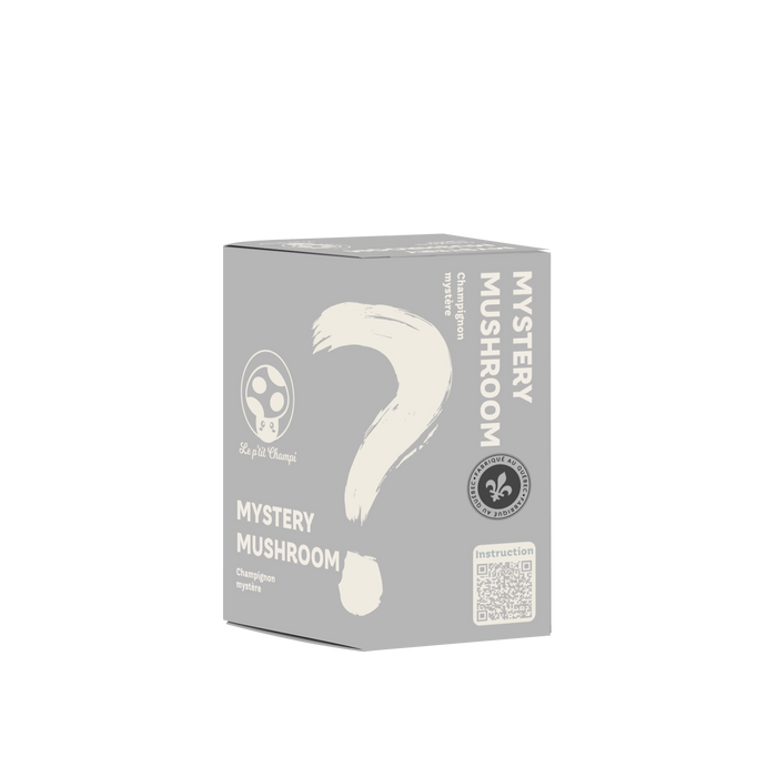 KIT DE CHAMPIGNONS MYSTÈRES