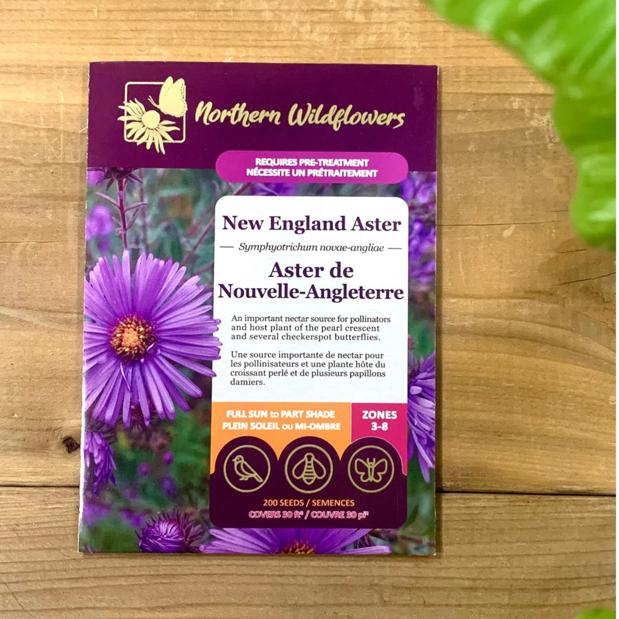 Fleurus SEEDS: NEW ENGLAND ASTER