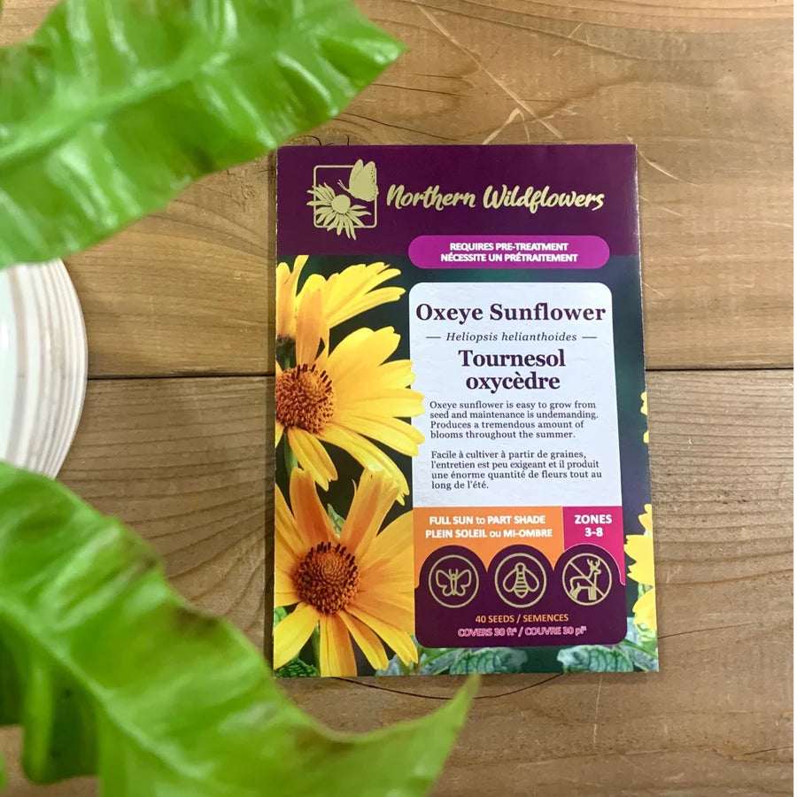 FLOWER SEEDS: OXYCEDRE SUNFLOWER