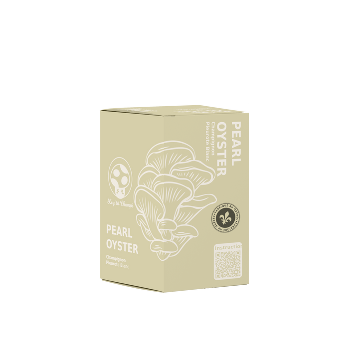 KIT DE CULTURE DE PLEUROTES PERLIÈRES