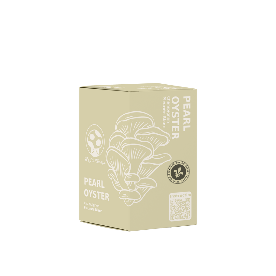 PEARL OYSTER MUSHROOM GROW KIT