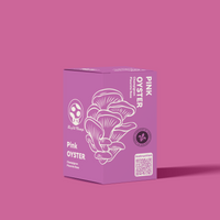 KIT DE CHAMPIGNONS PLEUROTES ROSES