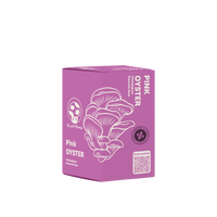 KIT DE CHAMPIGNONS PLEUROTES ROSES