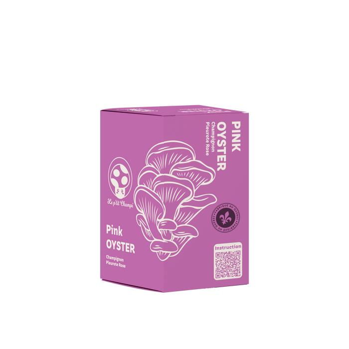 KIT DE CHAMPIGNONS PLEUROTES ROSES