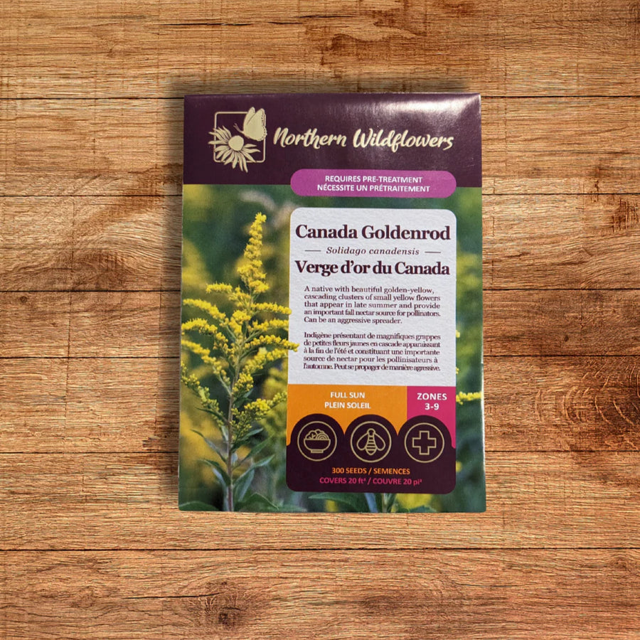 FLOWER SEEDS: CANADA GOLDENROD