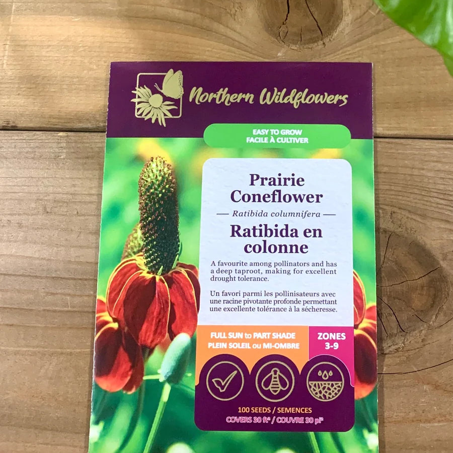 FLOWER SEEDS: UPRIGHT PRAIRIE CONEFLOWER