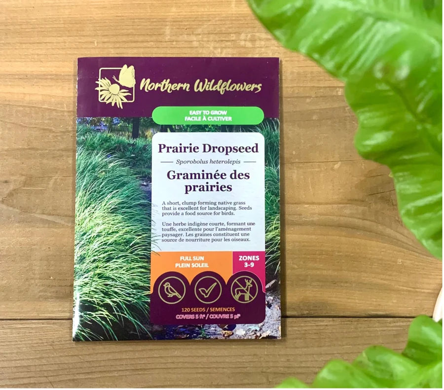 FLOWER SEEDS: PRAIRIE GRASS