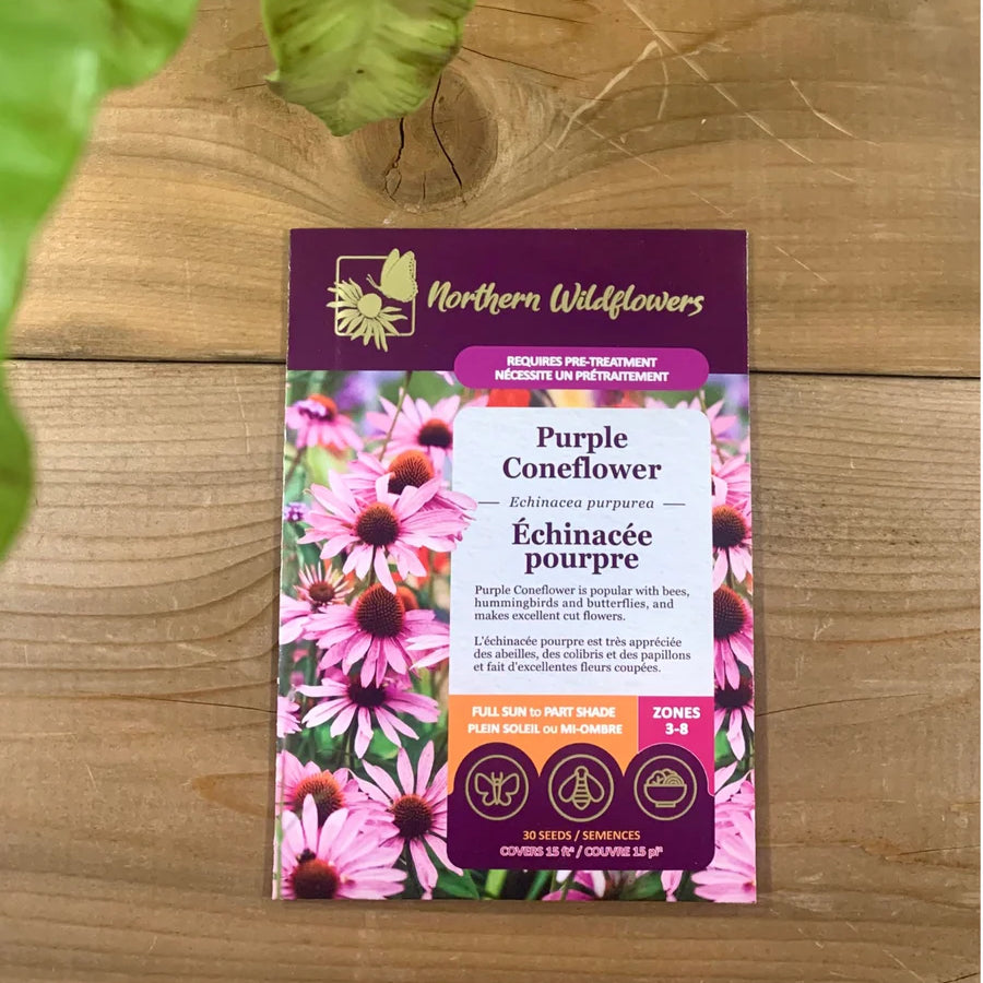 FLOWER SEEDS: PURPLE CONEFLOWER