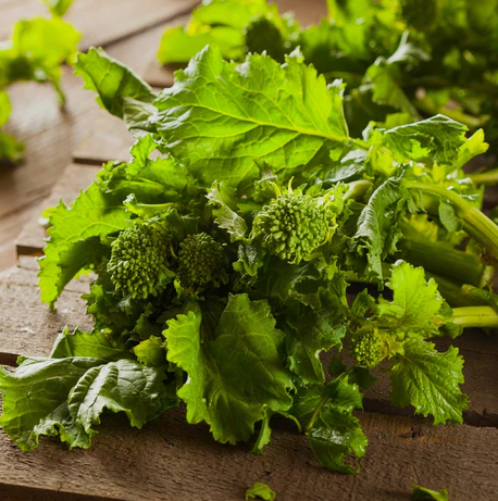 SEMENCES BIOLOGIQUES: RAPINI SPRING RAAB