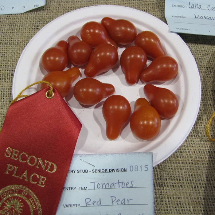 TOMATE - POIRE ROUGE