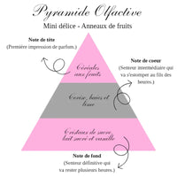 LA BOUGIE MINI DELICE - ANNEAUX DE FRUITS