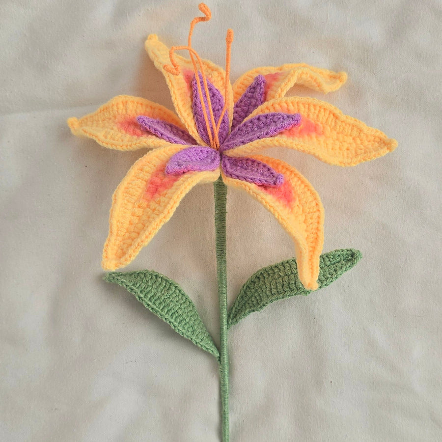 FLEUR DE ROSÉE DU SOLEIL