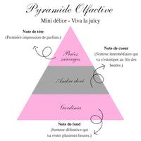 LA BOUGIE MINI DÉLICE - VIVA LA JUICY