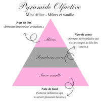 LA BOUGIE MINI DÉLICE - MURES VANILLE