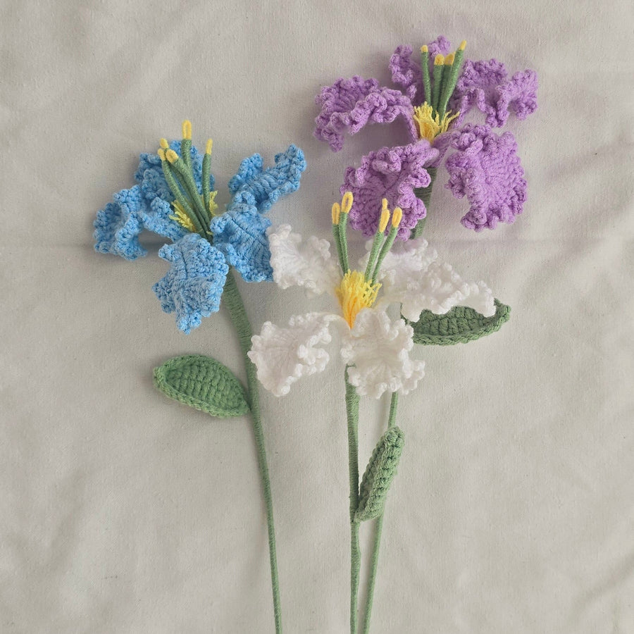 IRIS