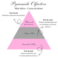 LA BOUGIE MINI DÉLICE - CACTUS DU DESERT
