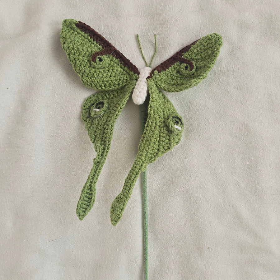 PAPILLON LUNE