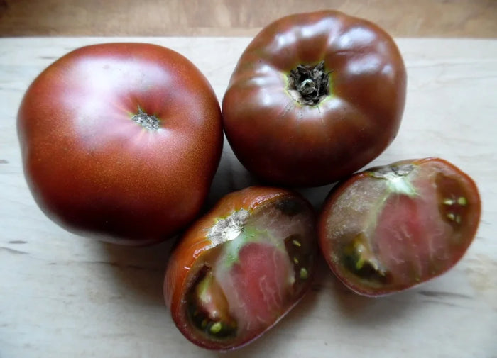 TOMATE - CHOCOLATE
