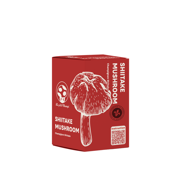 KIT DE CHAMPIGNONS SHIITAKE