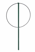 ANNEAU DE SUPPORT PIVOINE