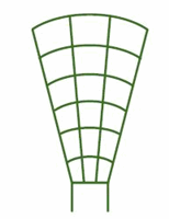 GREEN TRELLIS