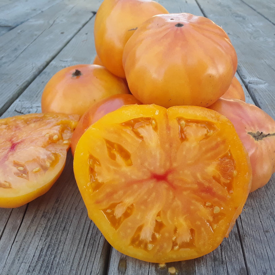 SEMENCES BIOLOGIQUES: TOMATE BEEFSTEAK ANANAS