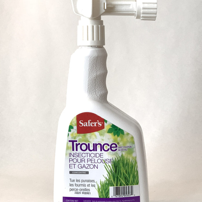 TROUNCE PELOUSE & GAZON