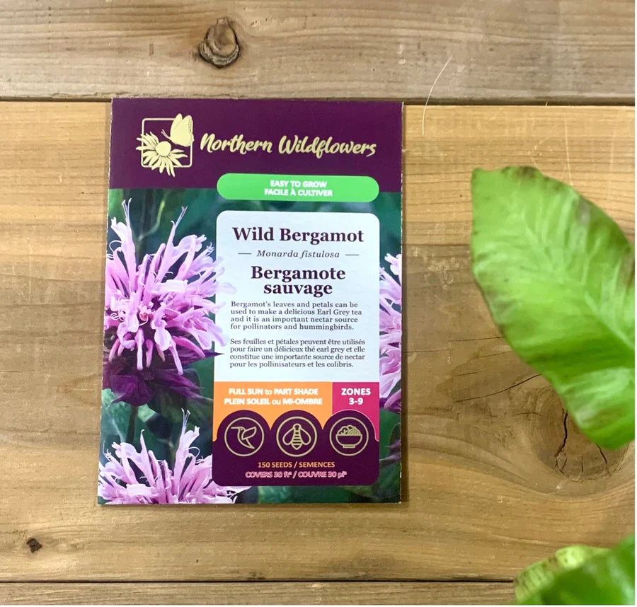 SEMENCES DE FLEURS: BERGAMOTE SAUVAGE