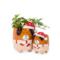 CACHE-POT - CHIEN AVEC BONNET DE NOEL
